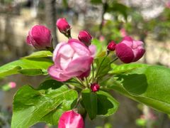 -元大都城垣遗址公园