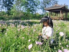 -白鹭湾湿地公园