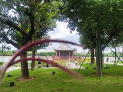 -顺峰山公园