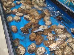 -神洲四海大酒楼(王府井澳门中心店)