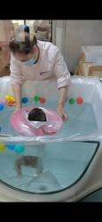 -安馨无忧月子中心(青秀店)