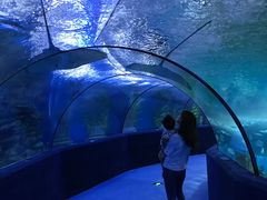 -梦幻海洋王国(吾悦广场张家港店)