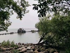 -上海吴淞炮台湾国家湿地公园