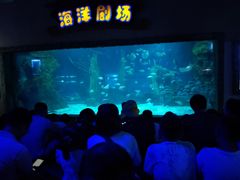 -南昌海洋公园