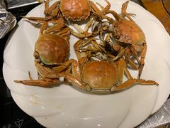 -小俩口烧烤东北菜(双井店)