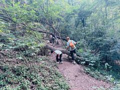 -紫金山山顶公园
