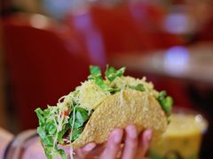 -油梨树AVOCADO TREE(嘉里中心店)