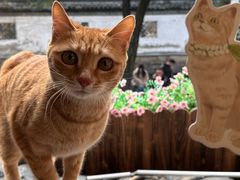 -猫的天空之城概念书店(苏州平江店)