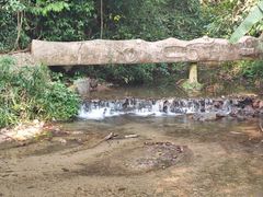 -莫里热带雨林景区