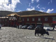 -塔公寺