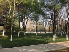 -后襄河公园