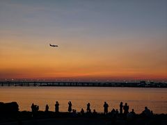 -宝安西湾红树林湿地公园