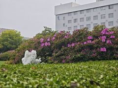 -长阳创谷