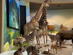 -陕西自然博物馆