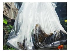 -夹江老头叶儿粑(石雁儿小区店)