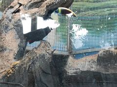 -鄂尔多斯野生动物园