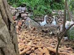 -昆明青龙峡风景区