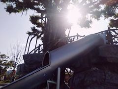 -九龙湖公园