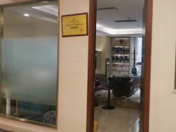 -碧莲盛·不剃发植发