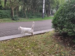 -苏州河梦清园环保主题公园