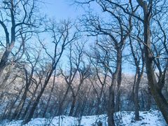 -终南山南五台景区