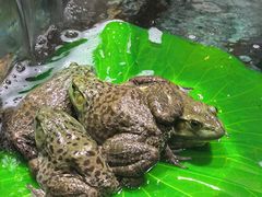 -传统菜农庄(皇姑路店)