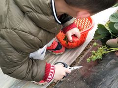 -神光山国家森林公园