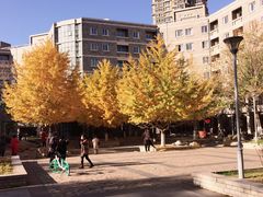 -辽宁大学(崇山校区)