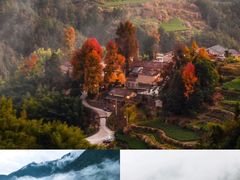 -莫干山风景区