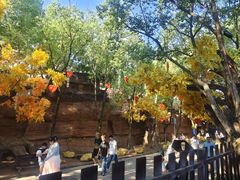-横店影视城梦幻谷园区