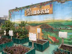 -梦田都市农场(银泰城店)
