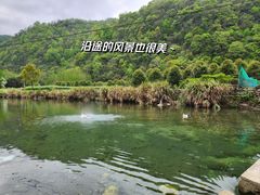 -石台牯牛降景区