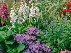 -人民公园(罗湖区)