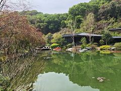 -云溪植物园