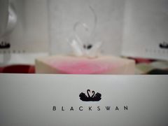 -BLACKSWAN黑天鹅(环球店)