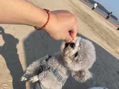 -朱家尖南沙景点