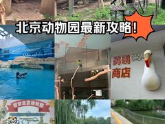 -北京动物园