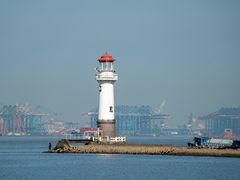 -上海吴淞炮台湾国家湿地公园