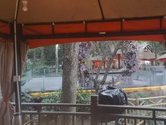 -二荆条·蜀鲜汇城市森林火锅