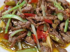 泡椒牛肉丝-人和水上飘(第一家店)