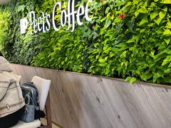 -Peet's Coffee皮爷咖啡(大学路店)