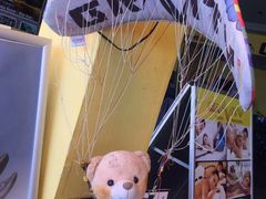-费特希耶滑翔伞
