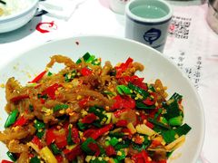 鸭掌筋-壹盏灯(惠农店)