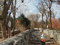 -阳台山自然风景区