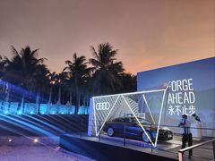 -欢乐海岸椰林沙滩-2025湾区超级灯会