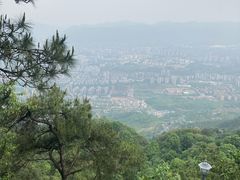 -缙云山景区