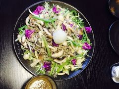 -春草居酒屋·晴子の店