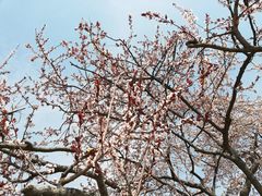 -清真·马文砂锅大全(麦苋街店)