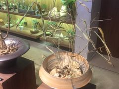 -方所(华润万象城店)