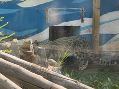 -青藏高原野生动物园